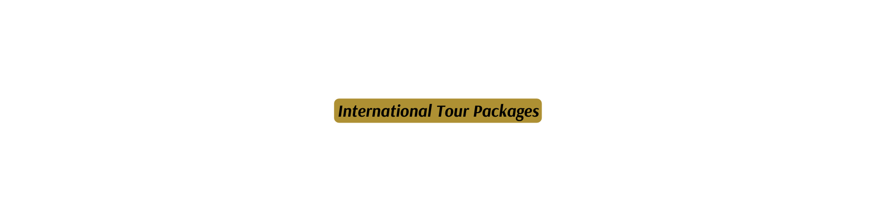 International Tour Packages